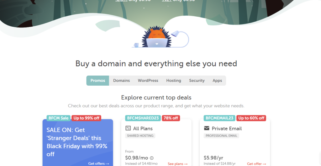 Namecheap Hosting in Nigeria: All You Need To Know