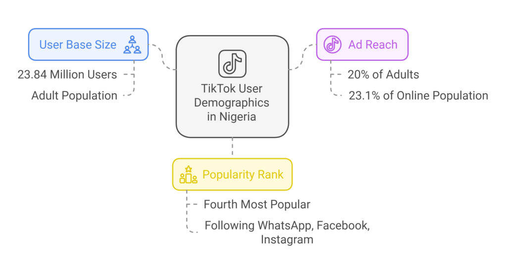 TikTok users in Nigeria