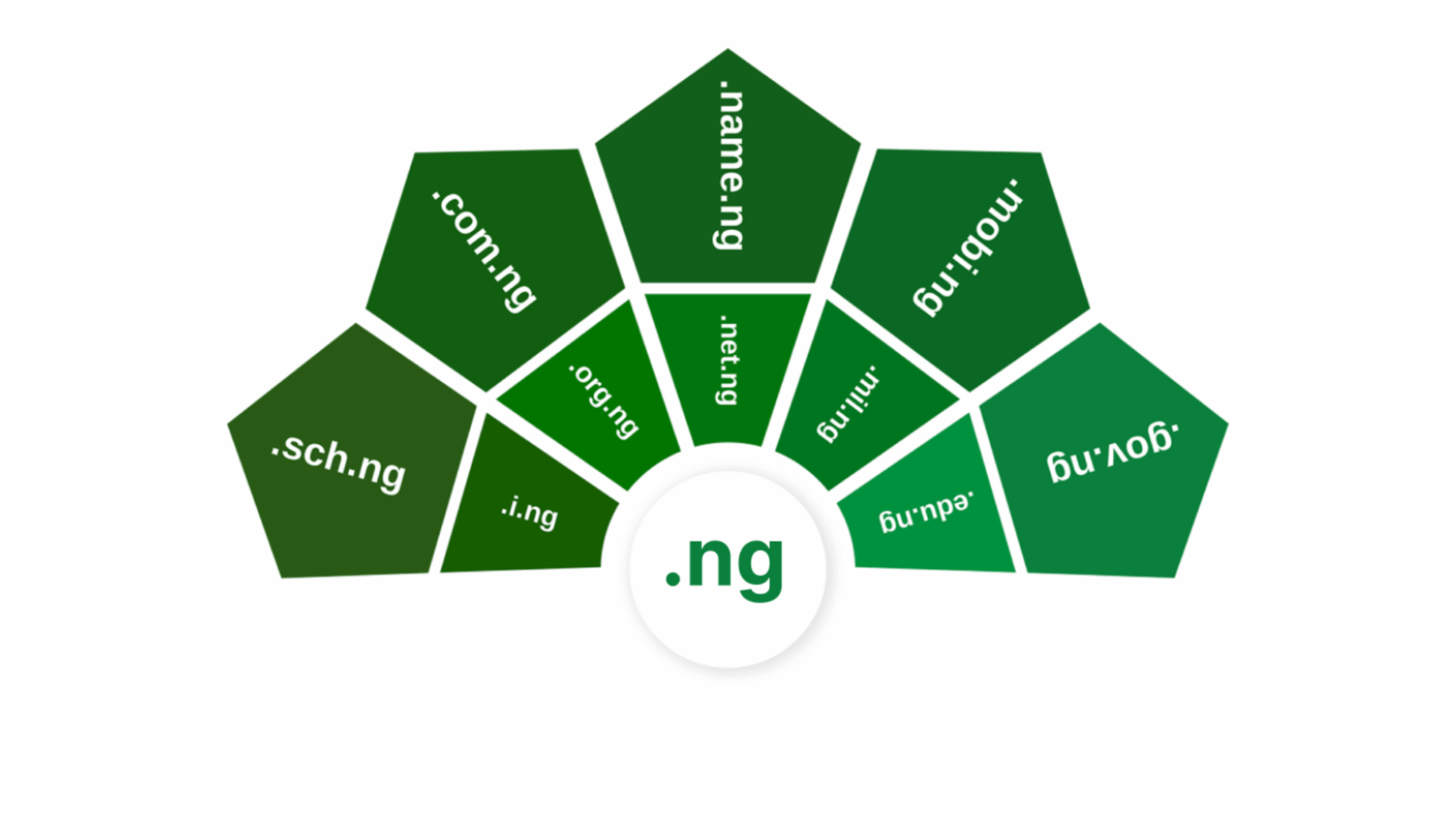 ng domain names types
