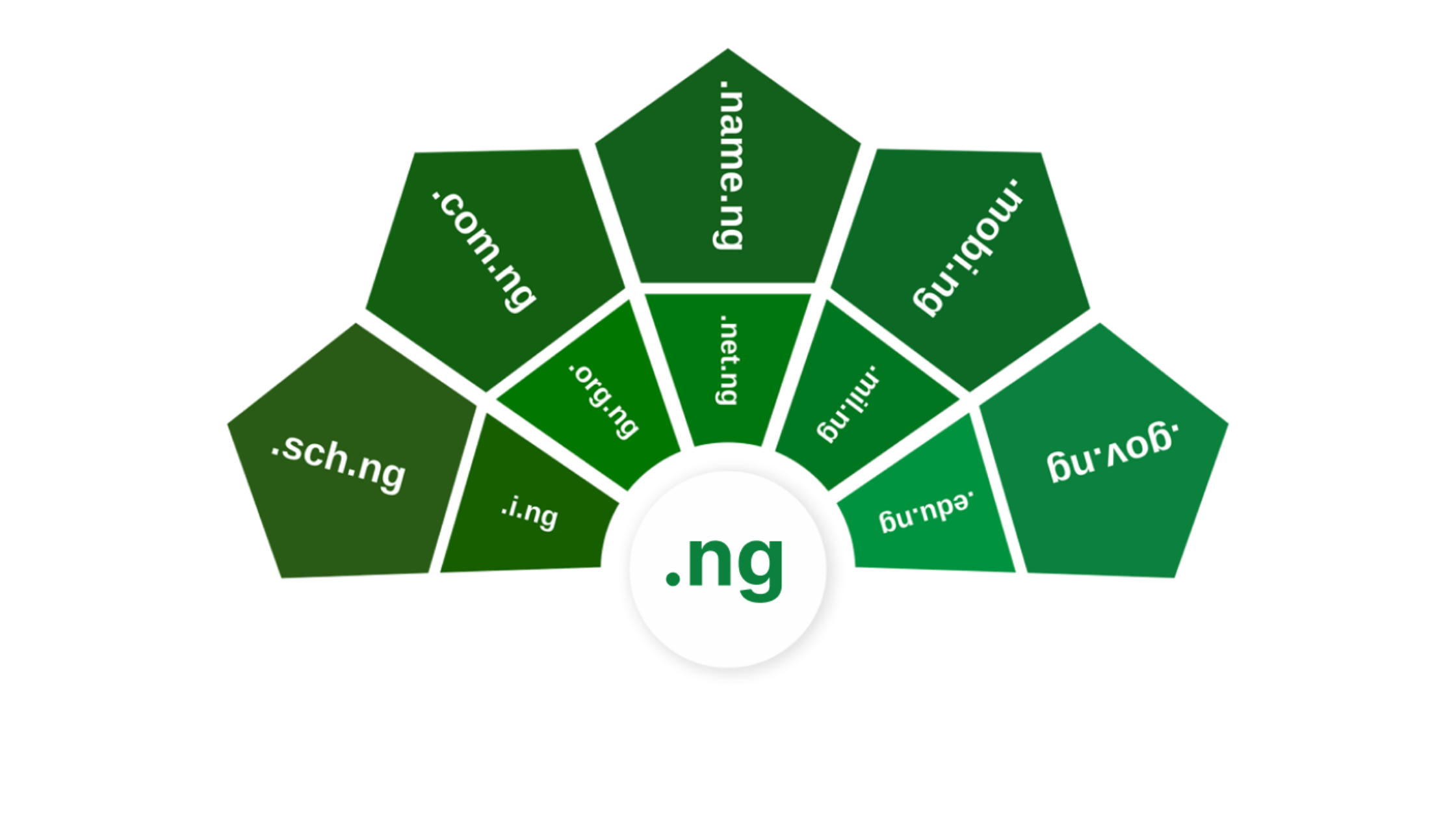 ng domain names types