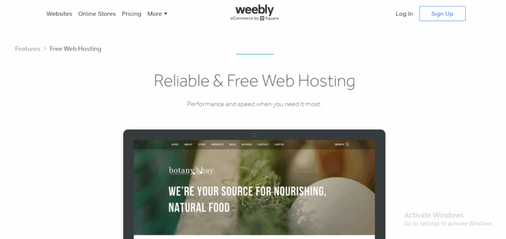 Free Web Hosting That Actually Works 2 free web hosting