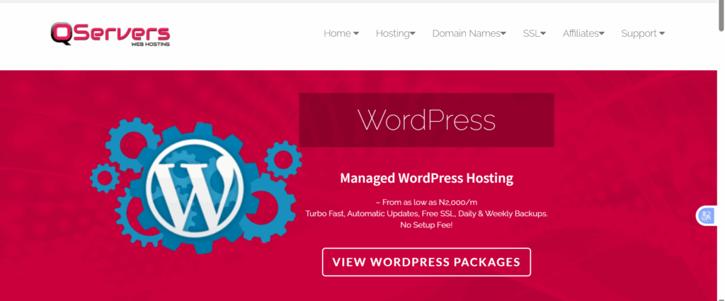 Best Hosting for Small Businesses in Nigeria 3 a screenshot of qservers
