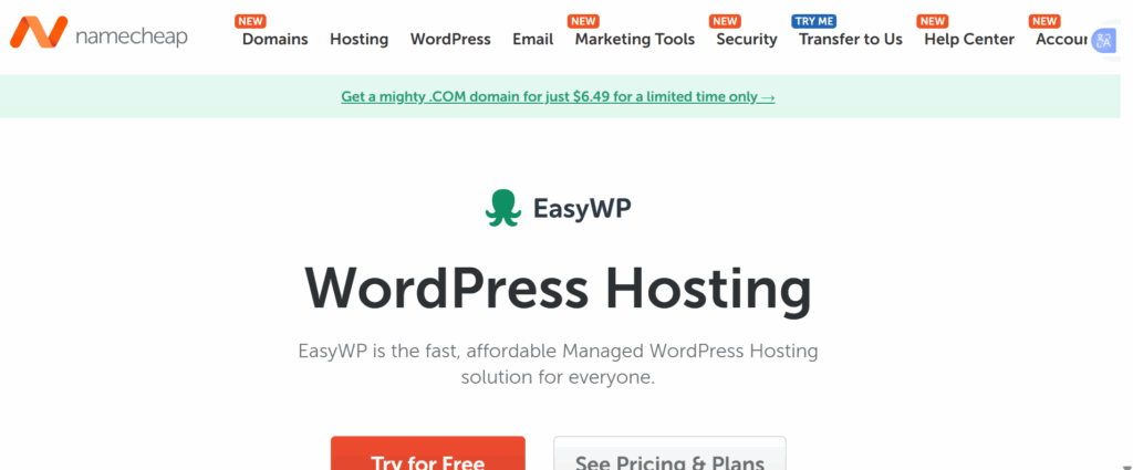 The Biggest Web Hosting Companies Right Now 6 a screenshot of namecheap