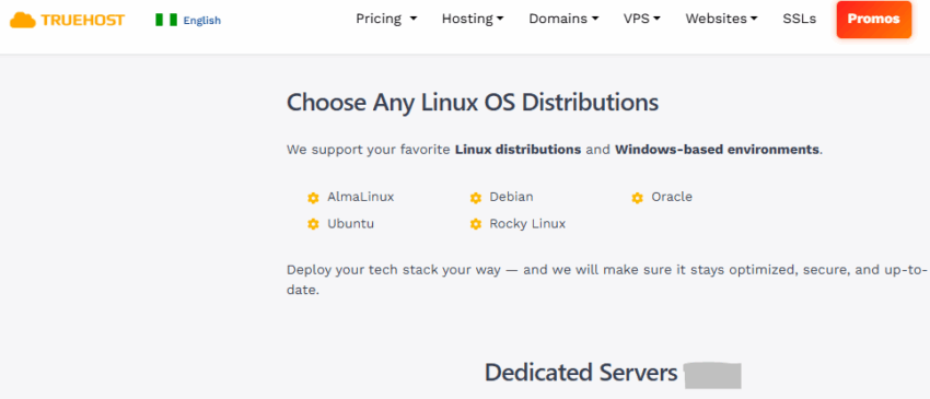 Web Hosting vs Web Server: What Sets Them Apart 4 web hosting vs web server