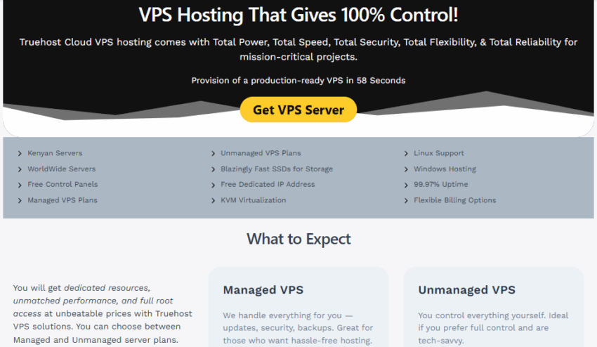 Web Hosting vs Web Server: What Sets Them Apart 3 VPS hosting