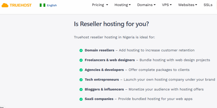 Types of Web Hosting Explained with Real Examples 6 Reseller hosting