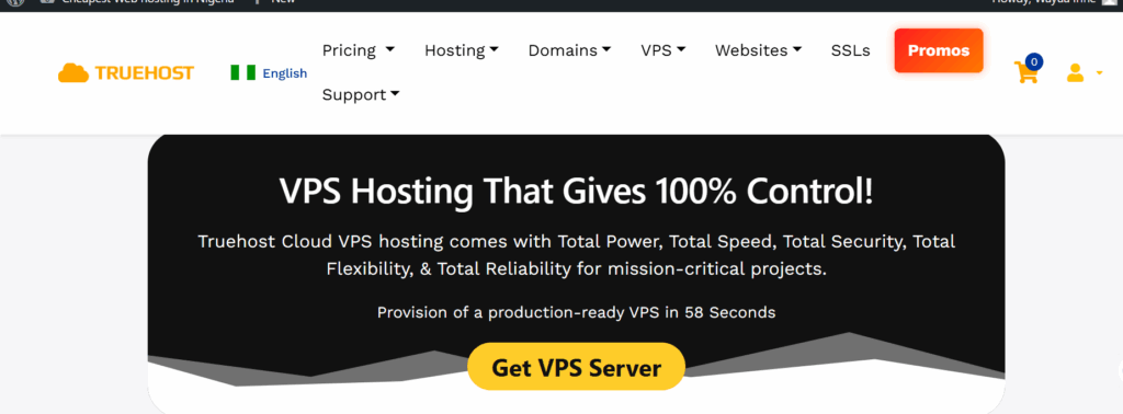 Host a Website on VPS: Step-by-Step Guide 1 a screenshpot of VPS Hosting in Nigeria