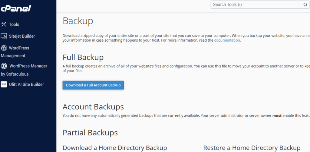 Website backup
