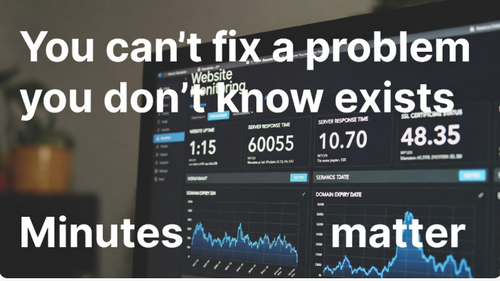 an image showing website monitoring