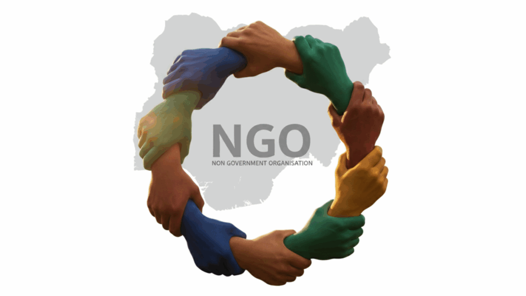 NGO Hosting Nigeria: Essential Guide for Non-Profits 1 ngo hosting nigeria
