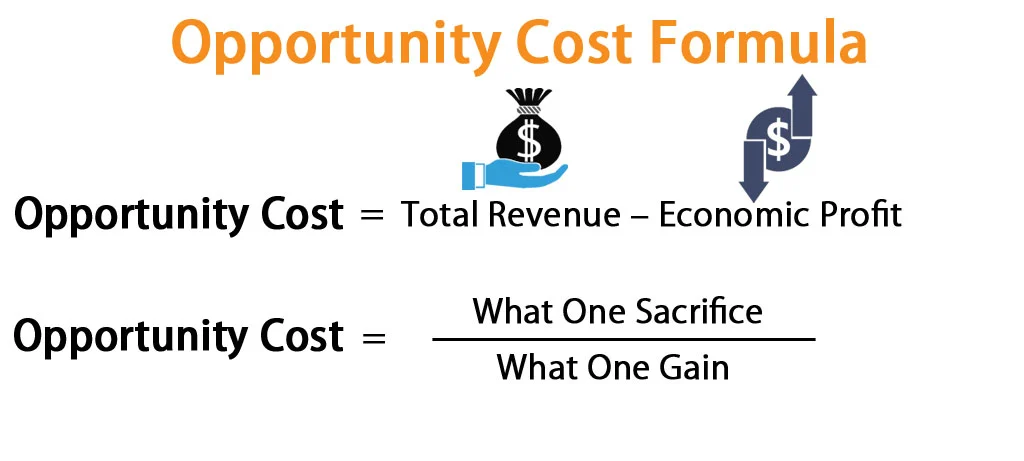 Website Maintenance Cost: Expenses to Expect 6 opportunity cost formula