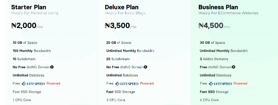 10 Pocket-Friendly Web Hosting Plans in Nigeria (2026 Guide) 2 Screenshot 2026 04 03 014450
