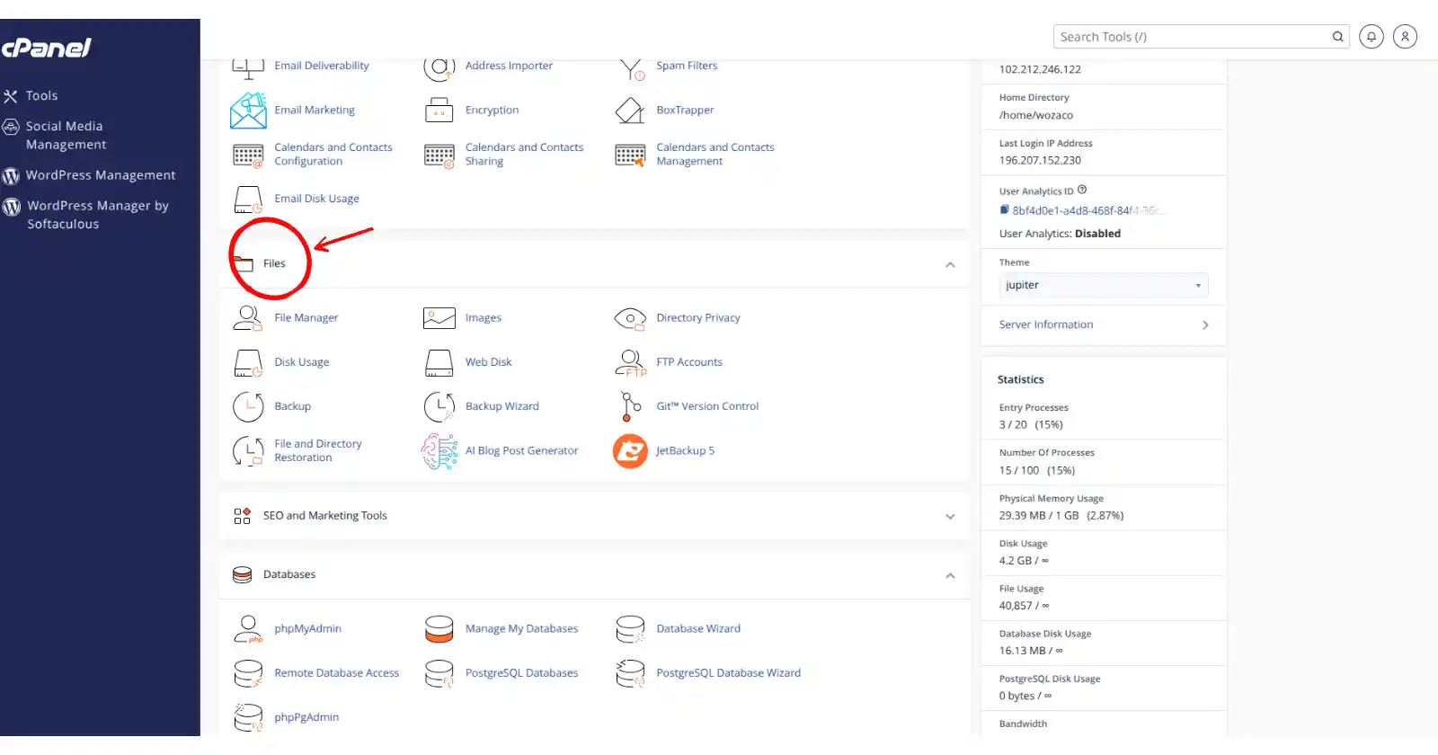 Truehost cPanel dashboard with the Files section highlighted