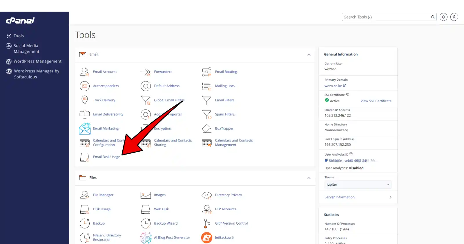 Website Storage Limits and How to Manage Them 4 cPanel search bar with “Email Disk Usage”