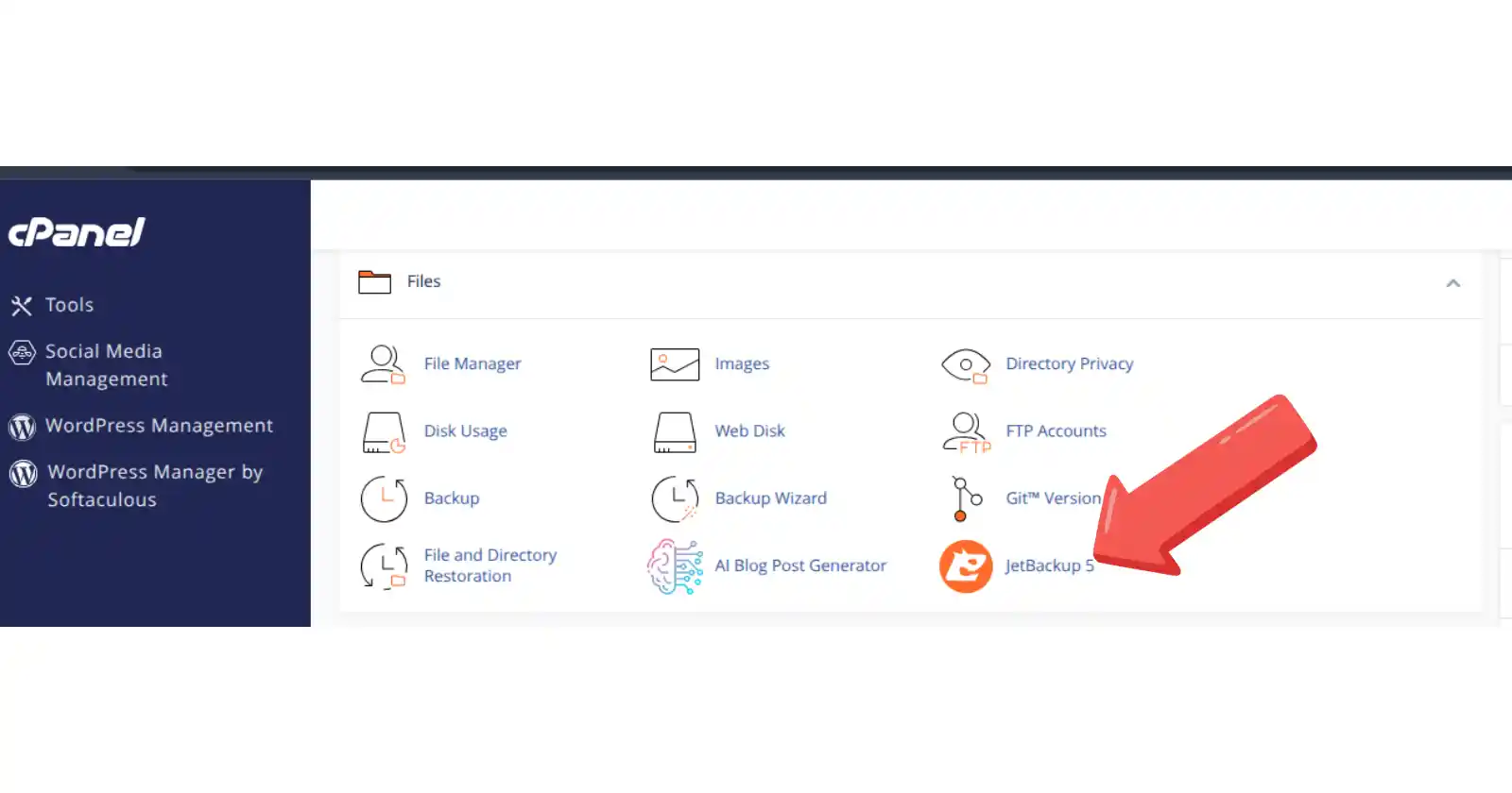 truehost JetBackup