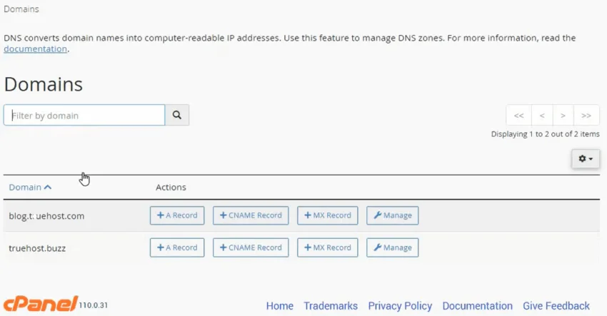 truehost cPanel Zone Editor A record