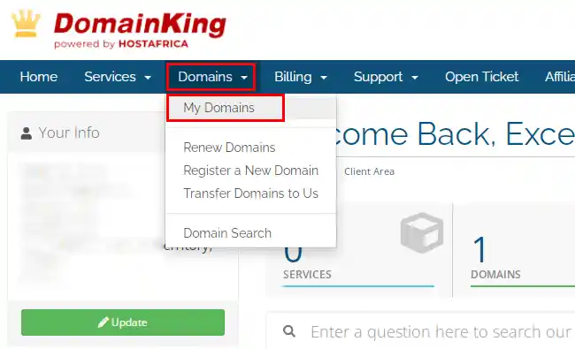 How To Transfer a Domain from DomainKing to Truehost 1 Screenshot of DomainKing client area domains page