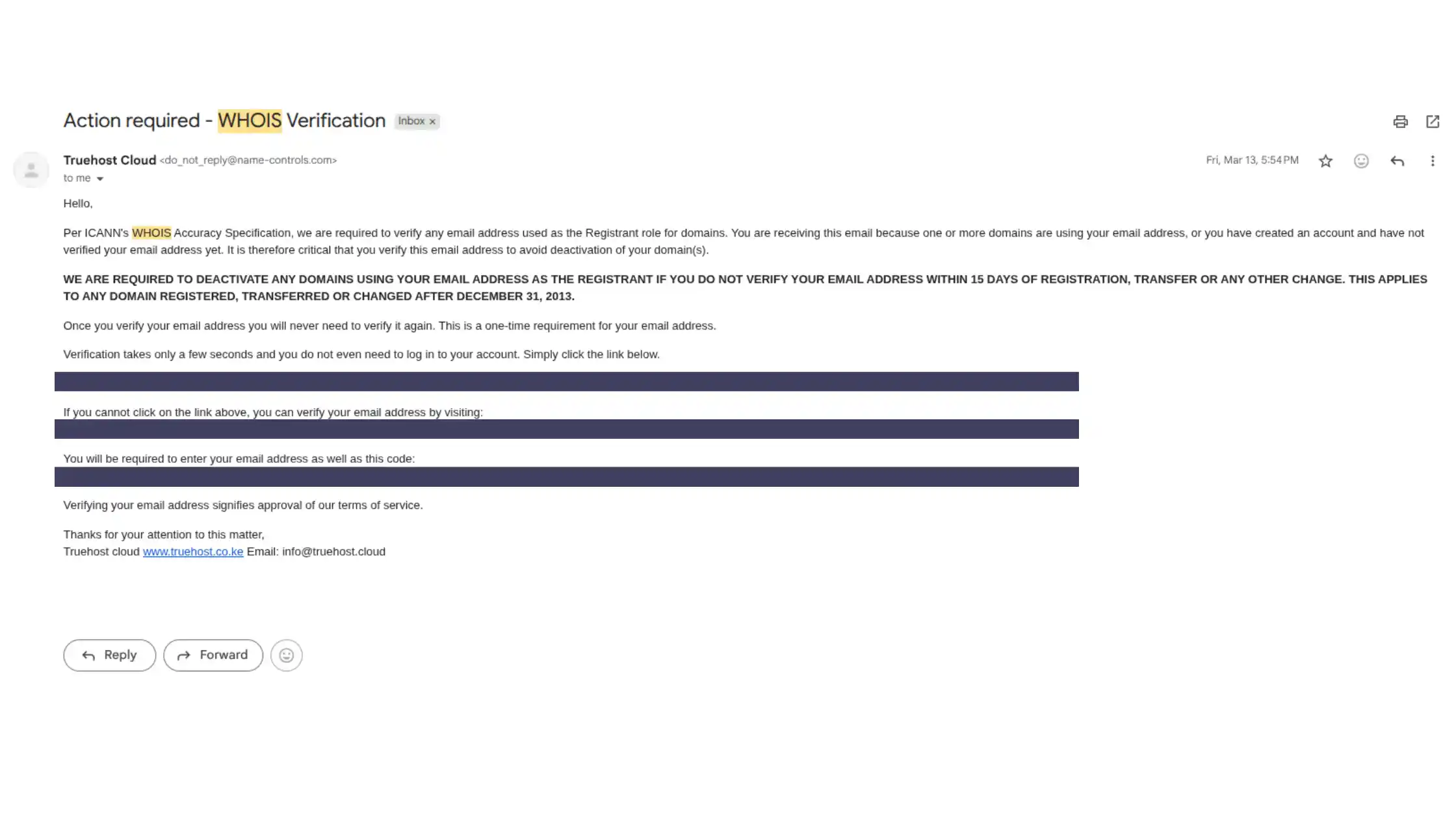 What is a .ng Domain? Everything You Need to Know 5 Screenshot of a Whois verification email after buying a domain showing the verification link