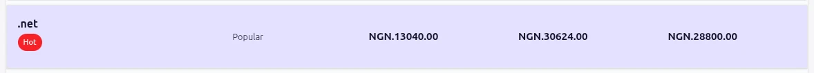 .net domain pricing 