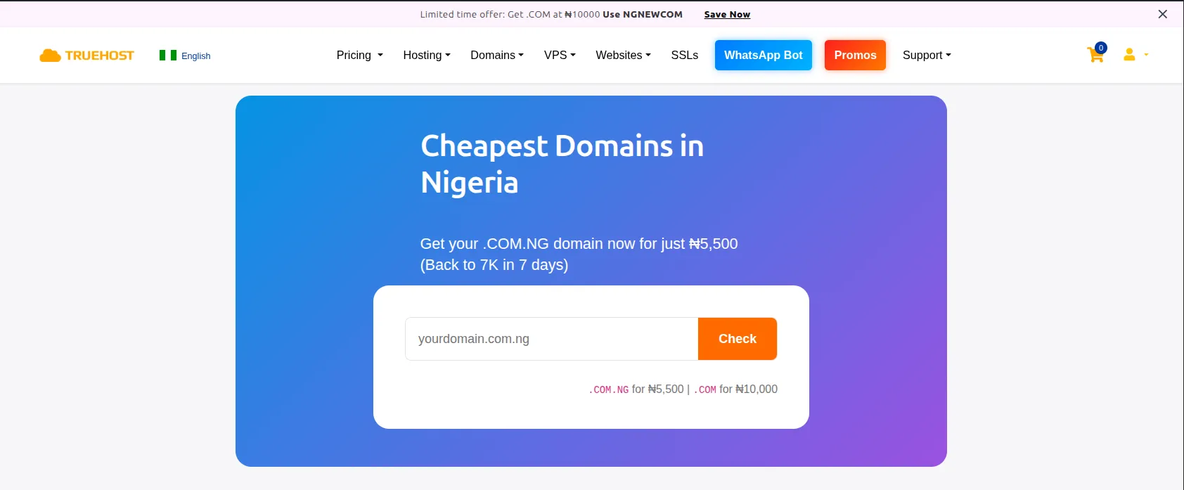 How to Set Up Outlook Email With Your Custom Domain in Nigeria 3 get a custom domain from truehost