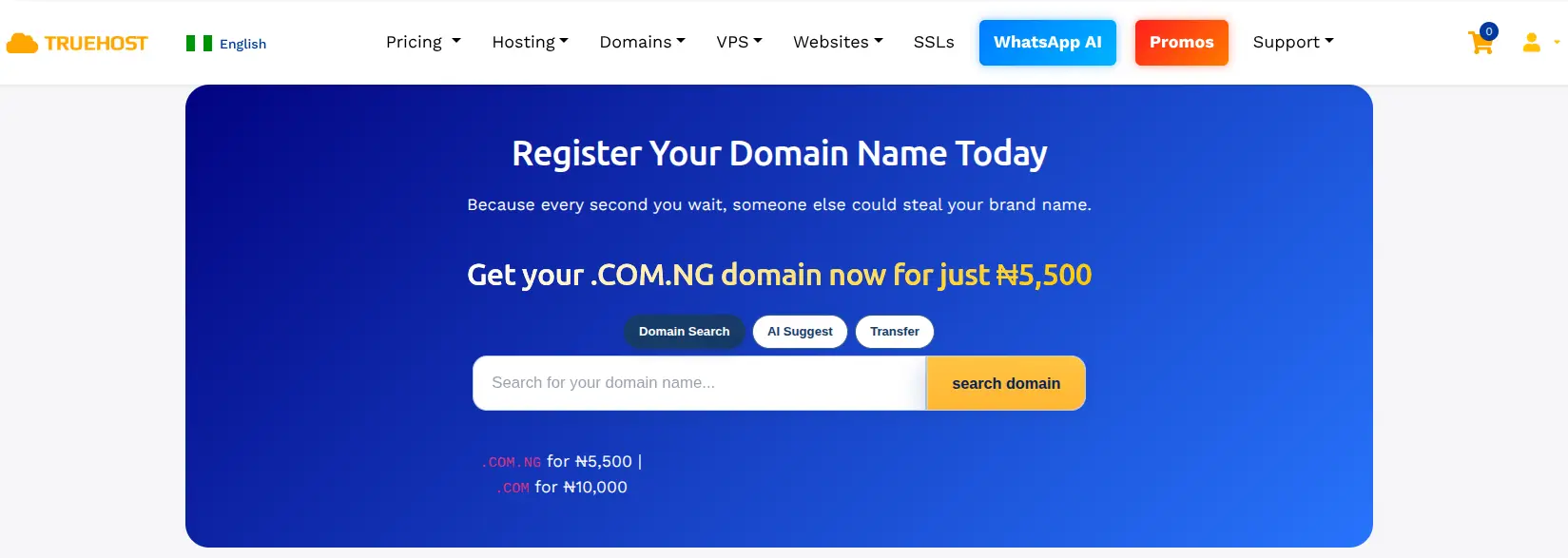 Truehost Domains vs HostAfrica: Which Host Offers Better Domain Deals? 1 truehost domains