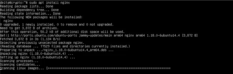 How to Set Up Nginx on a VPS with Truehost (Ubuntu 24.04 Guide) 2 How to Set Up Nginx on Ubuntu Server