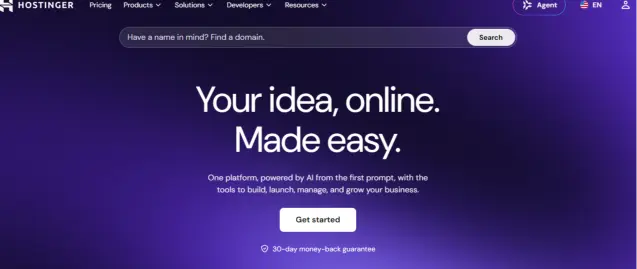 Image showing the interface of Hostinger 